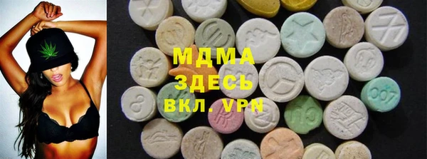 прущие грибы Абаза
