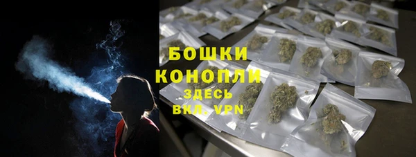 прущие грибы Абаза