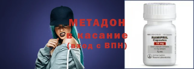 прущие грибы Абаза