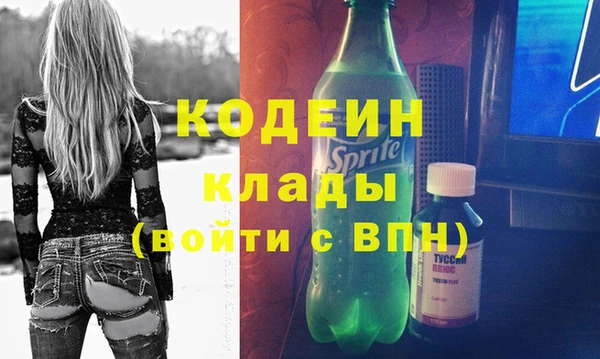 прущие грибы Абаза