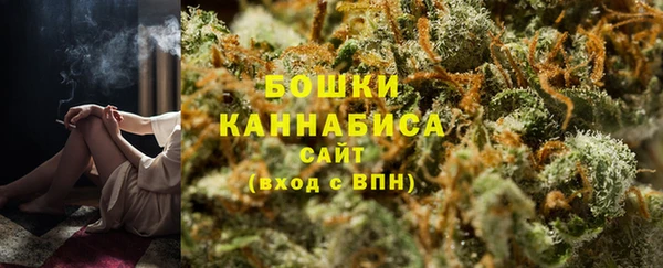 прущие грибы Абаза