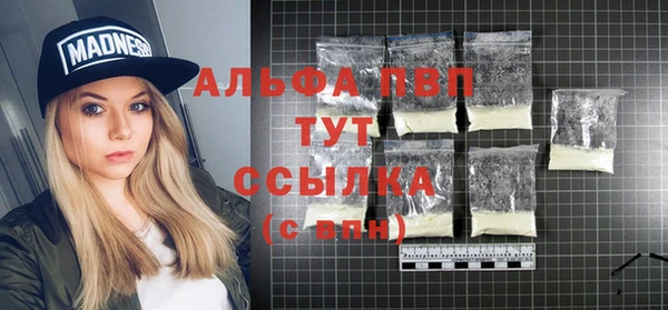 прущие грибы Абаза