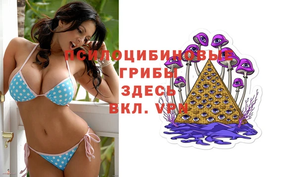 бутират Покачи