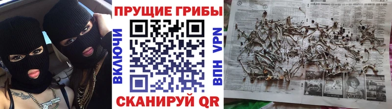 Галлюциногенные грибы GOLDEN TEACHER  Ефремов 